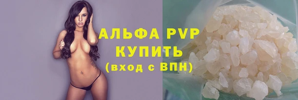 прущие крисы Магас