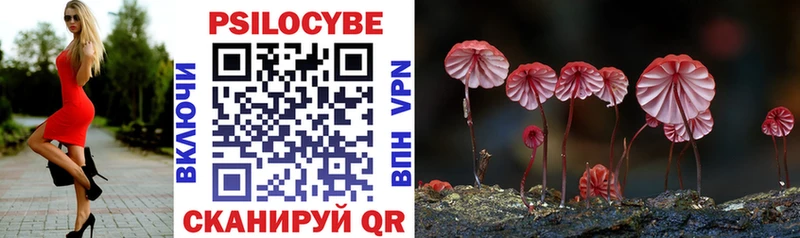 где продают наркотики Киров Псилоцибиновые грибы GOLDEN TEACHER