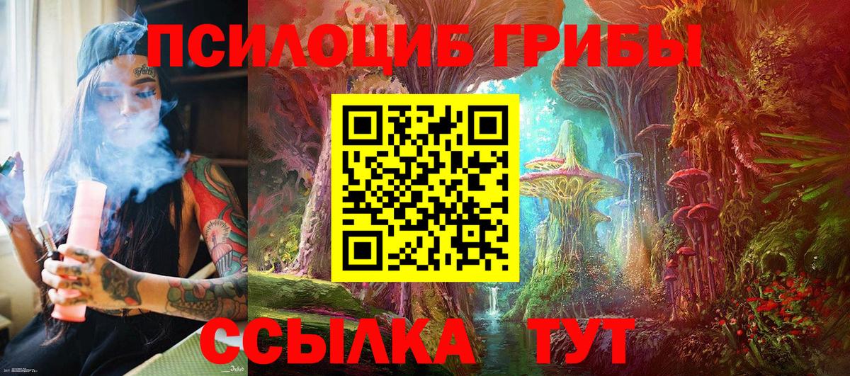 Псилоцибиновые грибы Psilocybe Киров