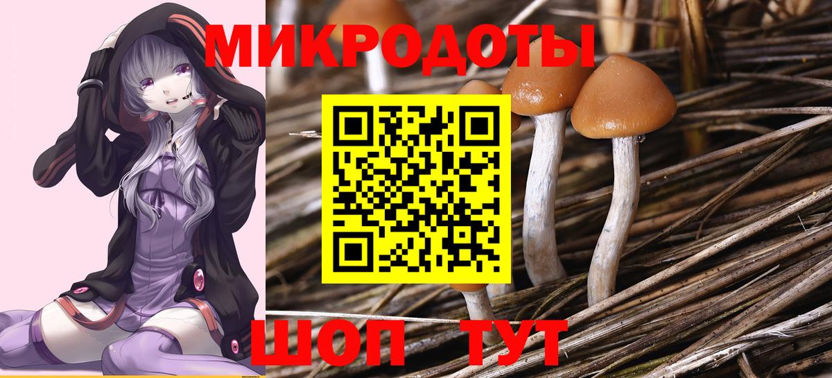 Псилоцибиновые грибы MAGIC MUSHROOMS  Вход с VPN  Киров 