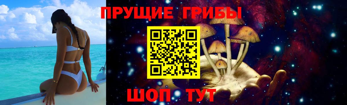 Галлюциногенные грибы Cubensis  Киров 